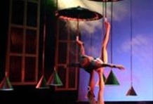 Chinese Acrobatics & Shanghai Evening Bus Tour